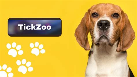 tickzoo|Tickzoo: A Deep Dive into its History, Controversy, Competitors, .